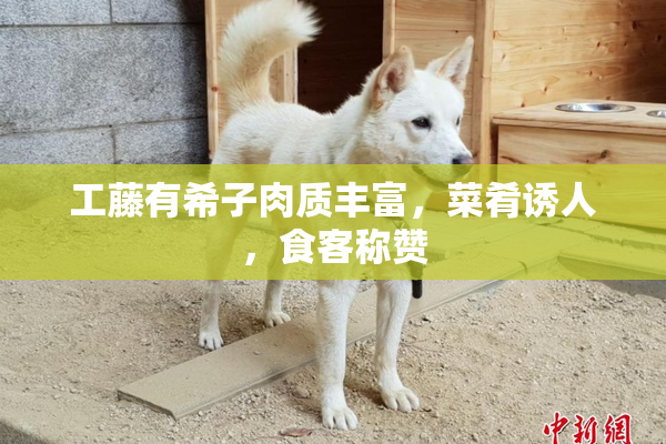 工藤有希子肉质丰富，菜肴诱人，食客称赞