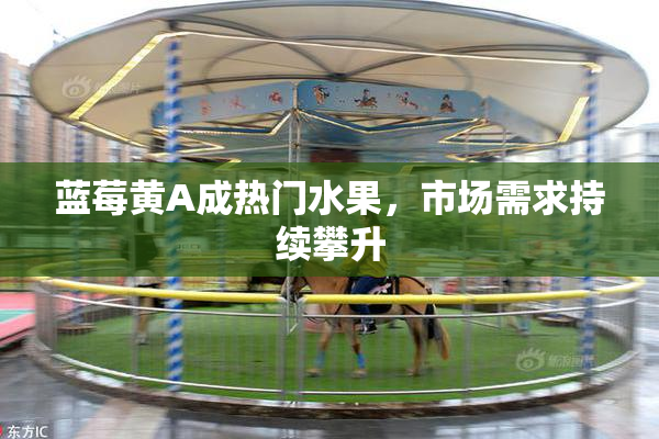 蓝莓黄A成热门水果，市场需求持续攀升