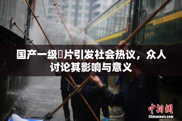 国产一级婬片引发社会热议，众人讨论其影响与意义