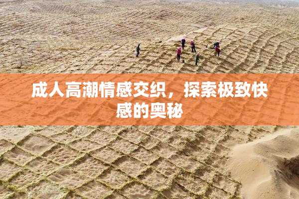 成人高潮情感交织，探索极致快感的奥秘
