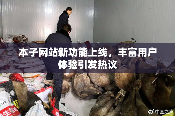 本子网站新功能上线，丰富用户体验引发热议