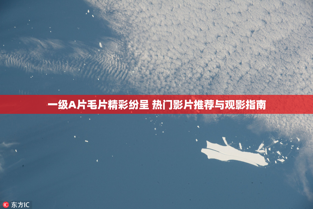 一级A片毛片精彩纷呈 热门影片推荐与观影指南