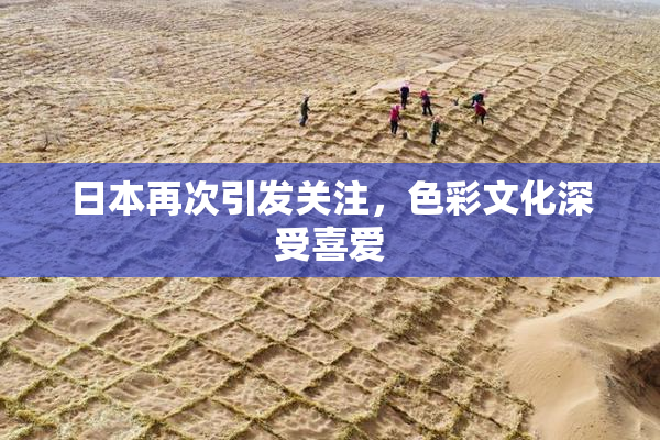 日本再次引发关注，色彩文化深受喜爱