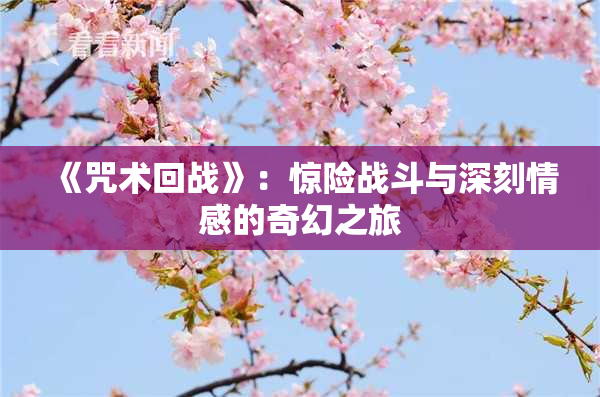 《咒术回战》：惊险战斗与深刻情感的奇幻之旅