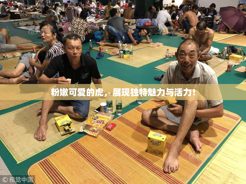 粉嫩可爱的虎，展现独特魅力与活力！