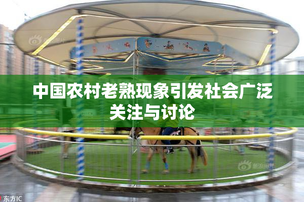 中国农村老熟现象引发社会广泛关注与讨论
