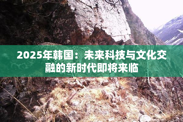 2025年韩国：未来科技与文化交融的新时代即将来临