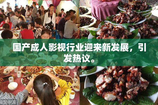 国产成人影视行业迎来新发展，引发热议。