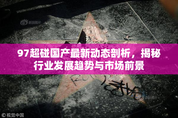 97超碰国产最新动态剖析，揭秘行业发展趋势与市场前景