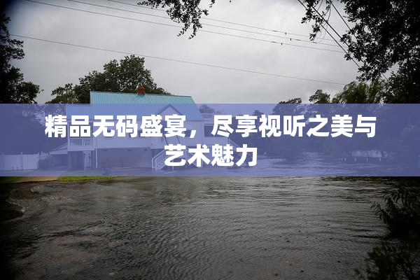 精品无码盛宴，尽享视听之美与艺术魅力