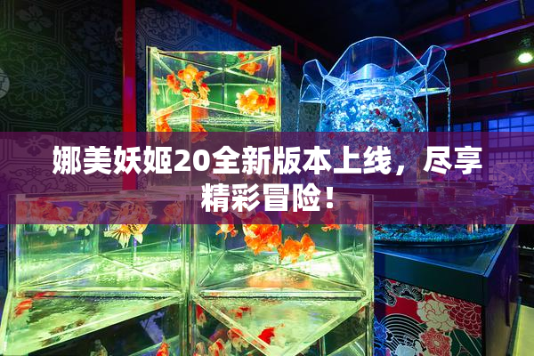 娜美妖姬20全新版本上线，尽享精彩冒险！