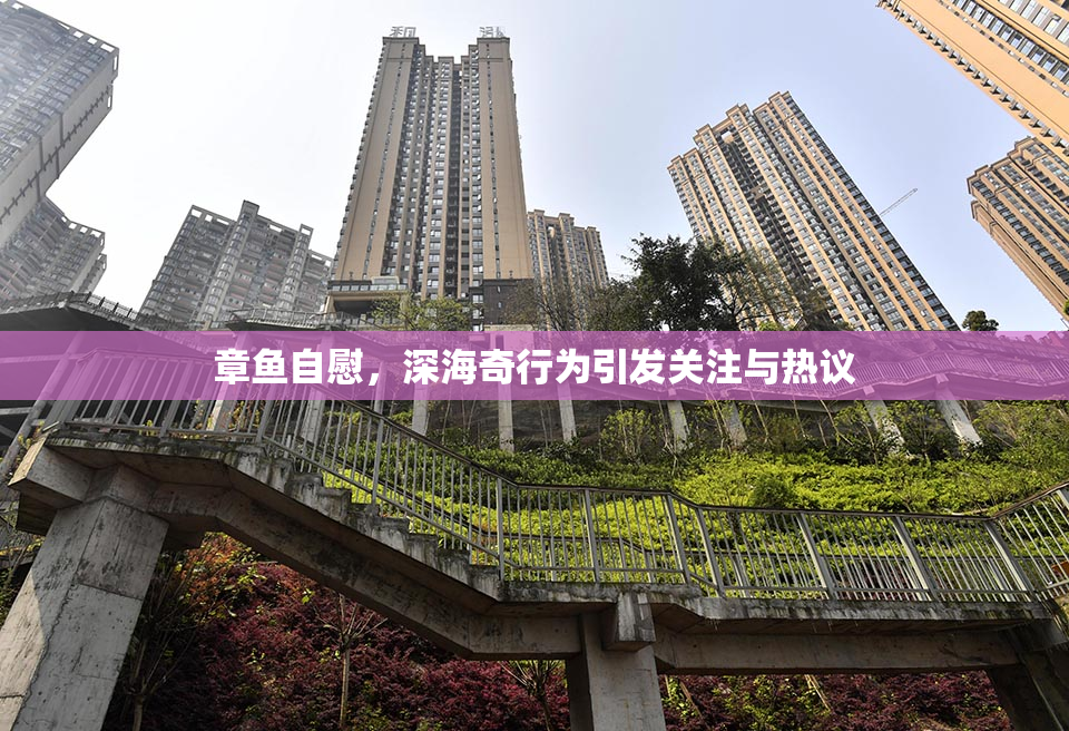 章鱼自慰，深海奇行为引发关注与热议