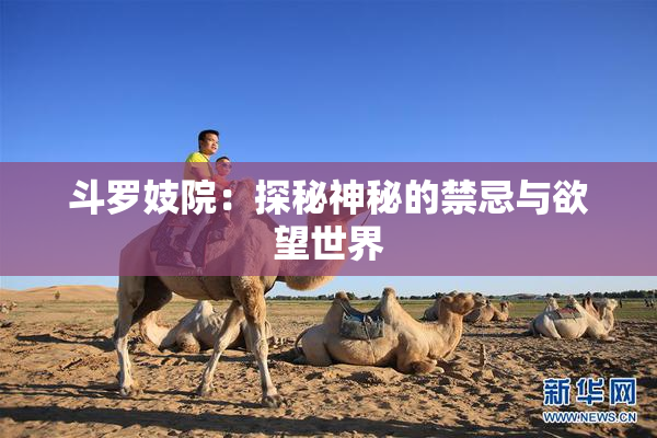 斗罗妓院：探秘神秘的禁忌与欲望世界