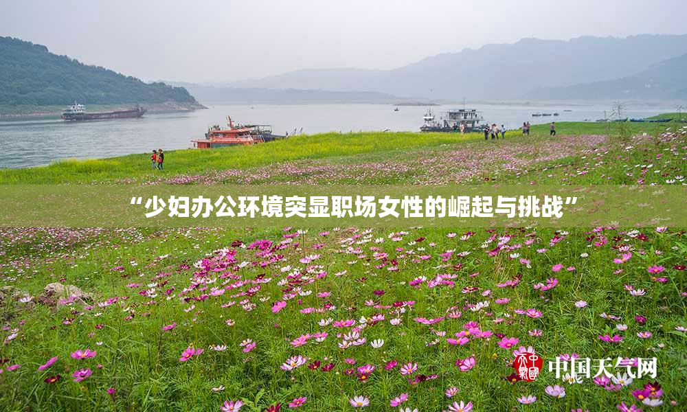 “少妇办公环境突显职场女性的崛起与挑战”