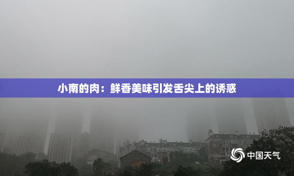 小南的肉：鲜香美味引发舌尖上的诱惑