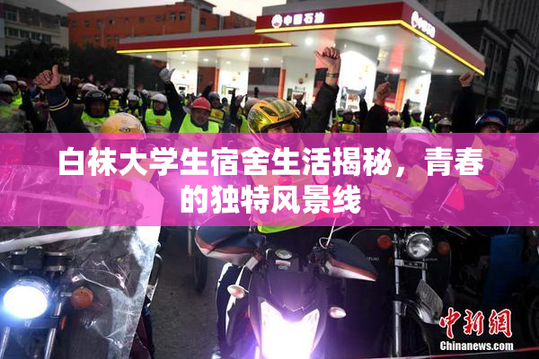 白袜大学生宿舍生活揭秘，青春的独特风景线