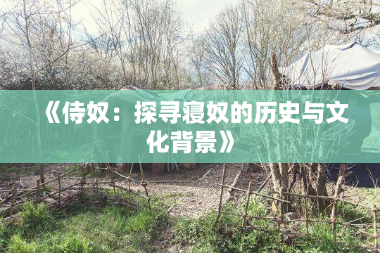 《侍奴：探寻寝奴的历史与文化背景》