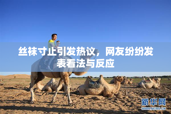 丝袜寸止引发热议，网友纷纷发表看法与反应