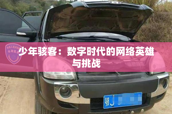 少年骇客：数字时代的网络英雄与挑战
