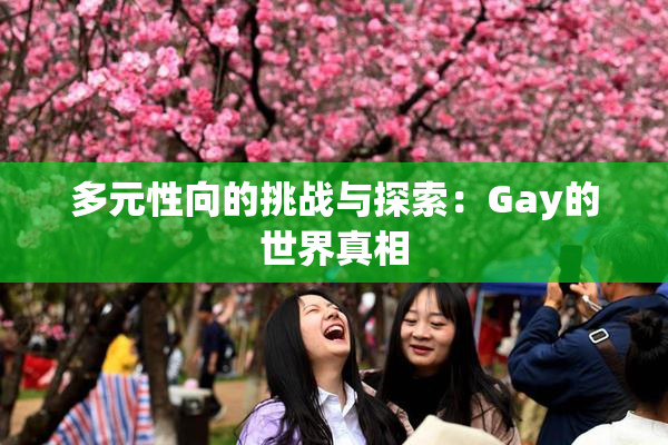 多元性向的挑战与探索：Gay的世界真相
