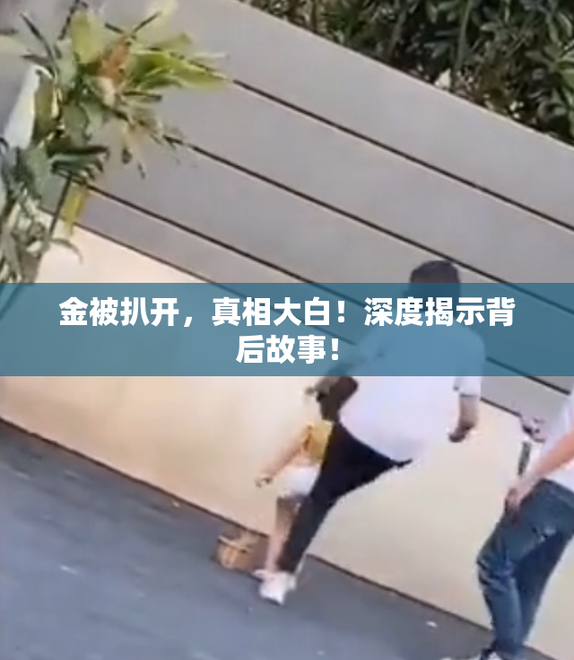 金被扒开，真相大白！深度揭示背后故事！