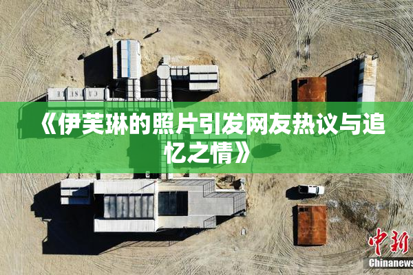 《伊芙琳的照片引发网友热议与追忆之情》