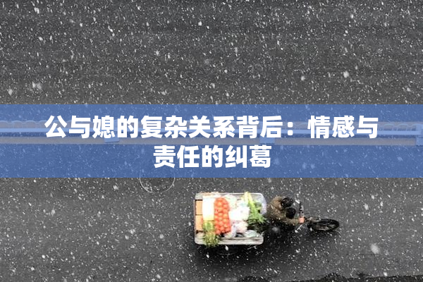 公与媳的复杂关系背后：情感与责任的纠葛