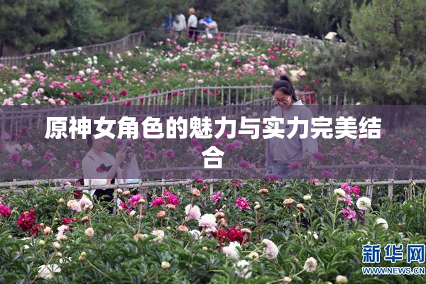 原神女角色的魅力与实力完美结合