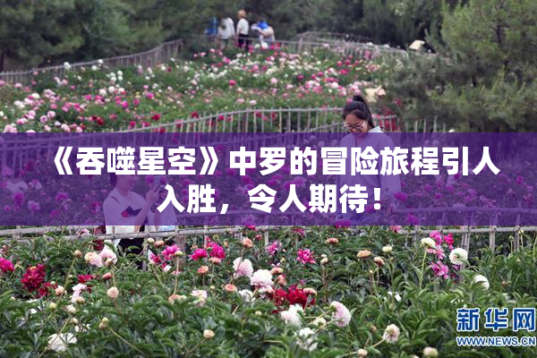 《吞噬星空》中罗的冒险旅程引人入胜，令人期待！