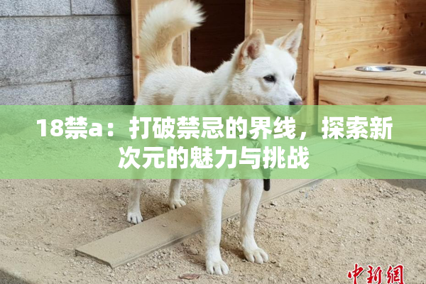 18禁a：打破禁忌的界线，探索新次元的魅力与挑战
