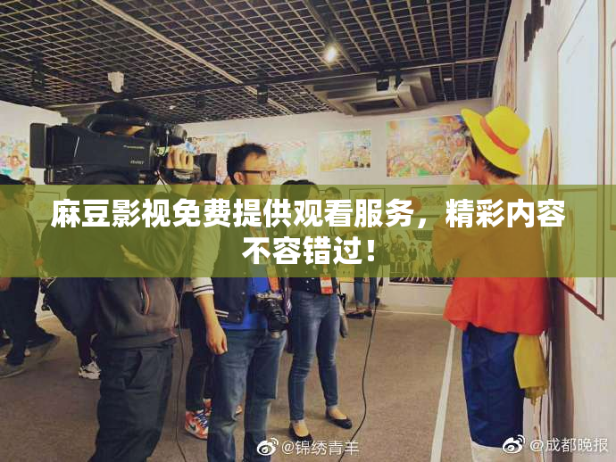 麻豆影视免费提供观看服务，精彩内容不容错过！