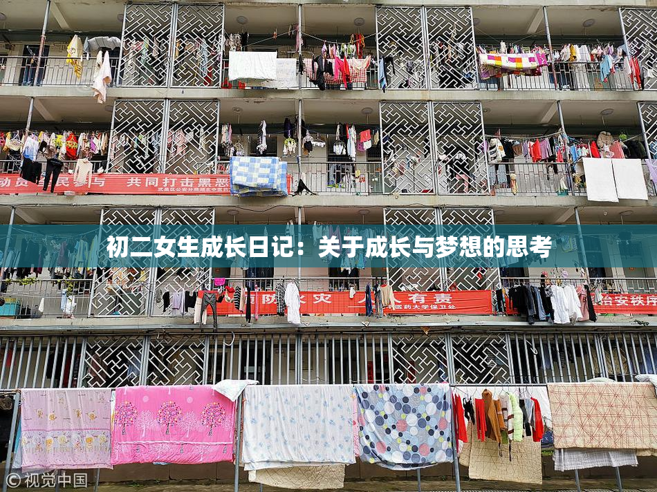 初二女生成长日记：关于成长与梦想的思考