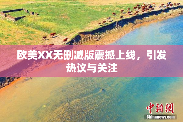欧美XX无删减版震撼上线，引发热议与关注