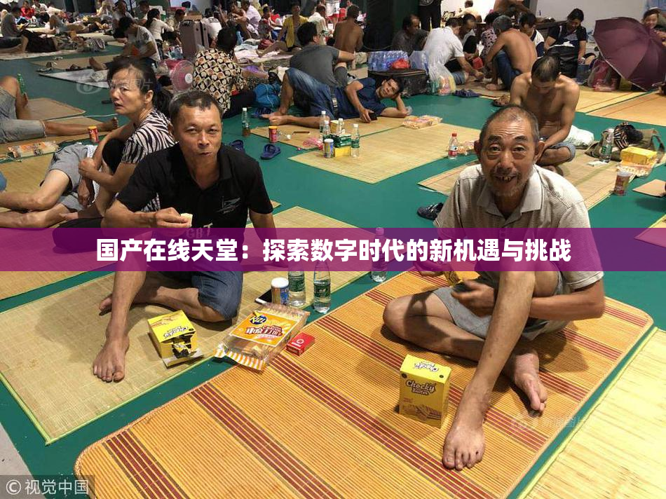 国产在线天堂：探索数字时代的新机遇与挑战