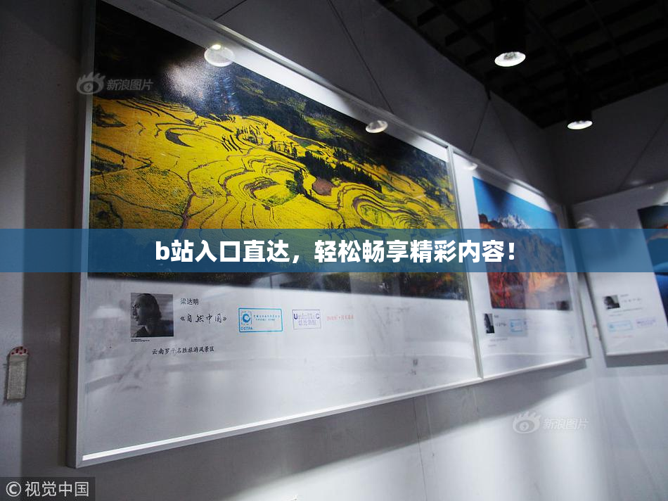 b站入口直达，轻松畅享精彩内容！