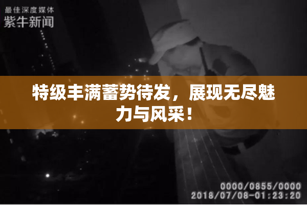 特级丰满蓄势待发，展现无尽魅力与风采！