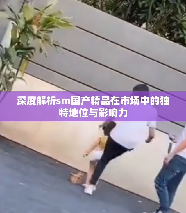 深度解析sm国产精品在市场中的独特地位与影响力