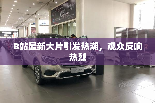 B站最新大片引发热潮，观众反响热烈