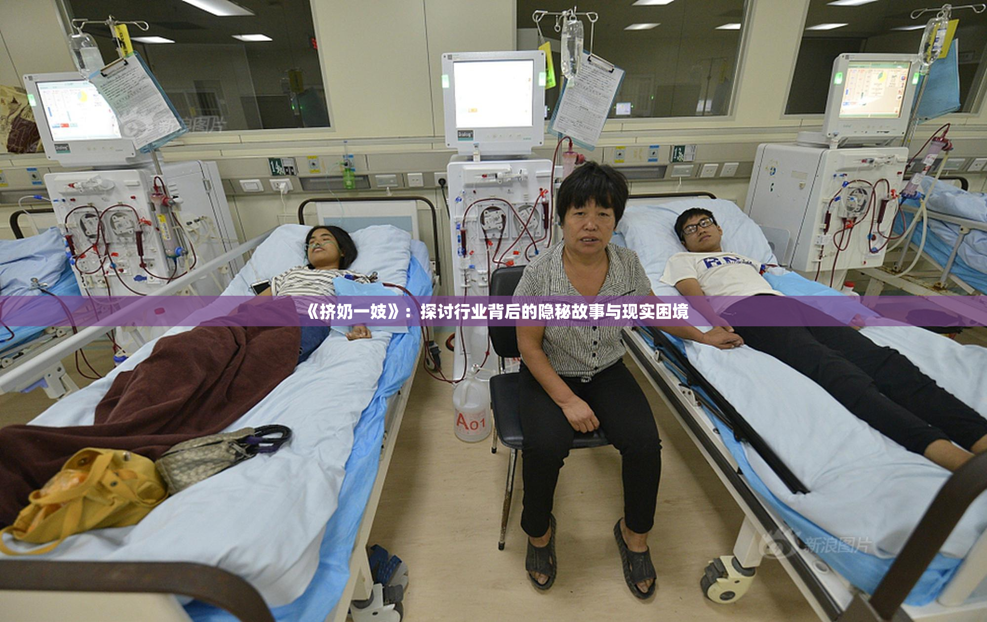 《挤奶一妓》：探讨行业背后的隐秘故事与现实困境