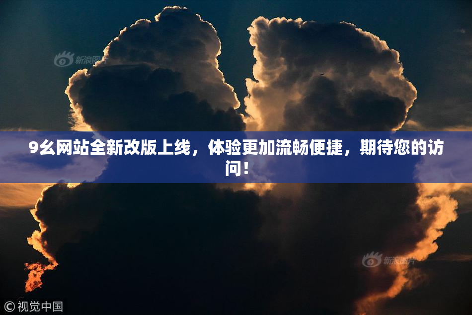 9幺网站全新改版上线，体验更加流畅便捷，期待您的访问！