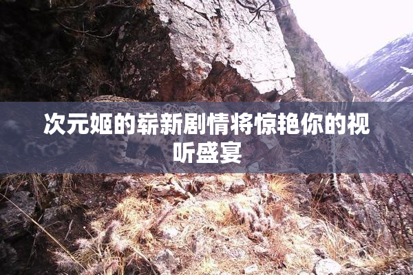 次元姬的崭新剧情将惊艳你的视听盛宴