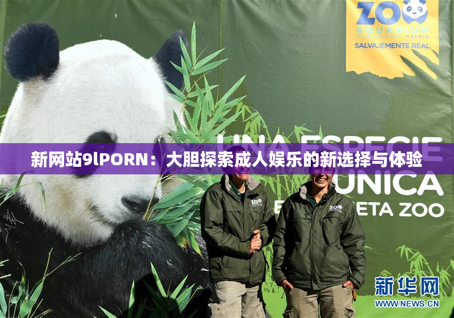 新网站9lPORN：大胆探索成人娱乐的新选择与体验