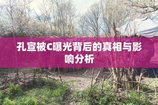 孔宣被C曝光背后的真相与影响分析