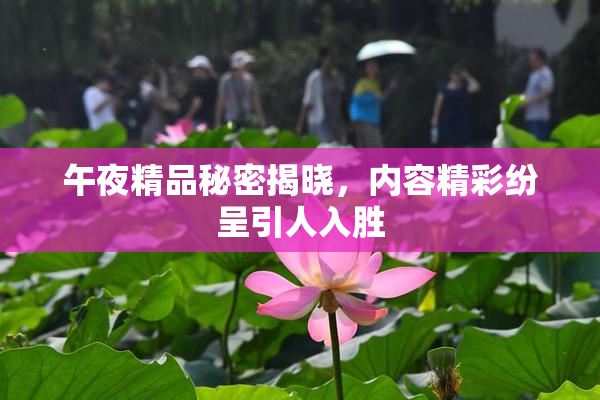 午夜精品秘密揭晓，内容精彩纷呈引人入胜
