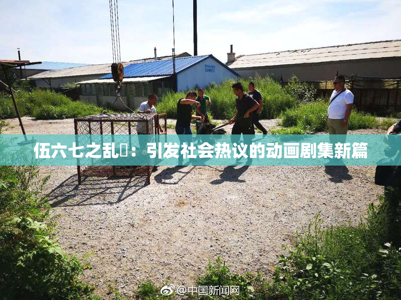 伍六七之乱婬：引发社会热议的动画剧集新篇