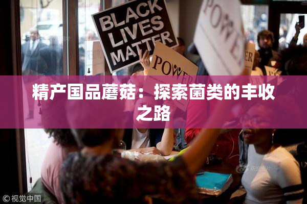 精产国品蘑菇：探索菌类的丰收之路