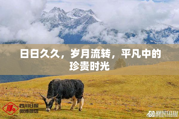 日日久久，岁月流转，平凡中的珍贵时光