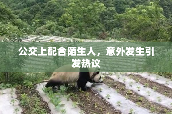 公交上配合陌生人，意外发生引发热议