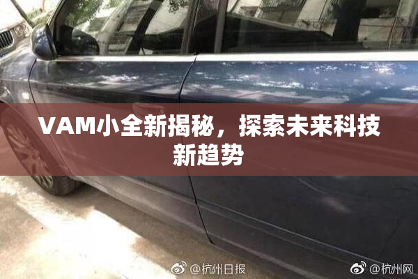 VAM小全新揭秘，探索未来科技新趋势
