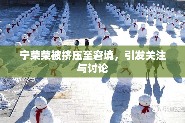 宁荣荣被挤压至窘境，引发关注与讨论